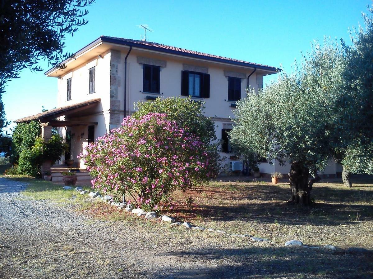 Pathirion B&B Rossano Bagian luar foto
