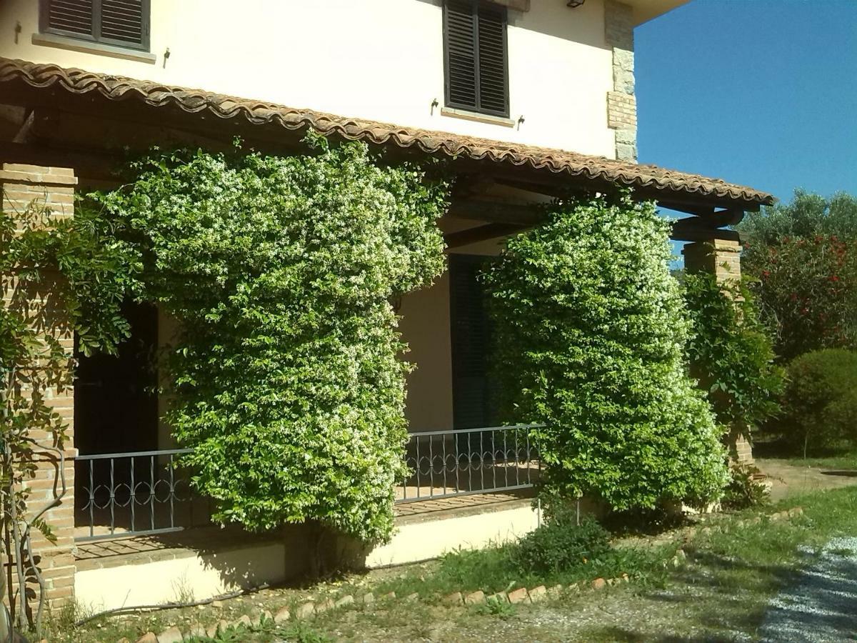 Pathirion B&B Rossano Bagian luar foto